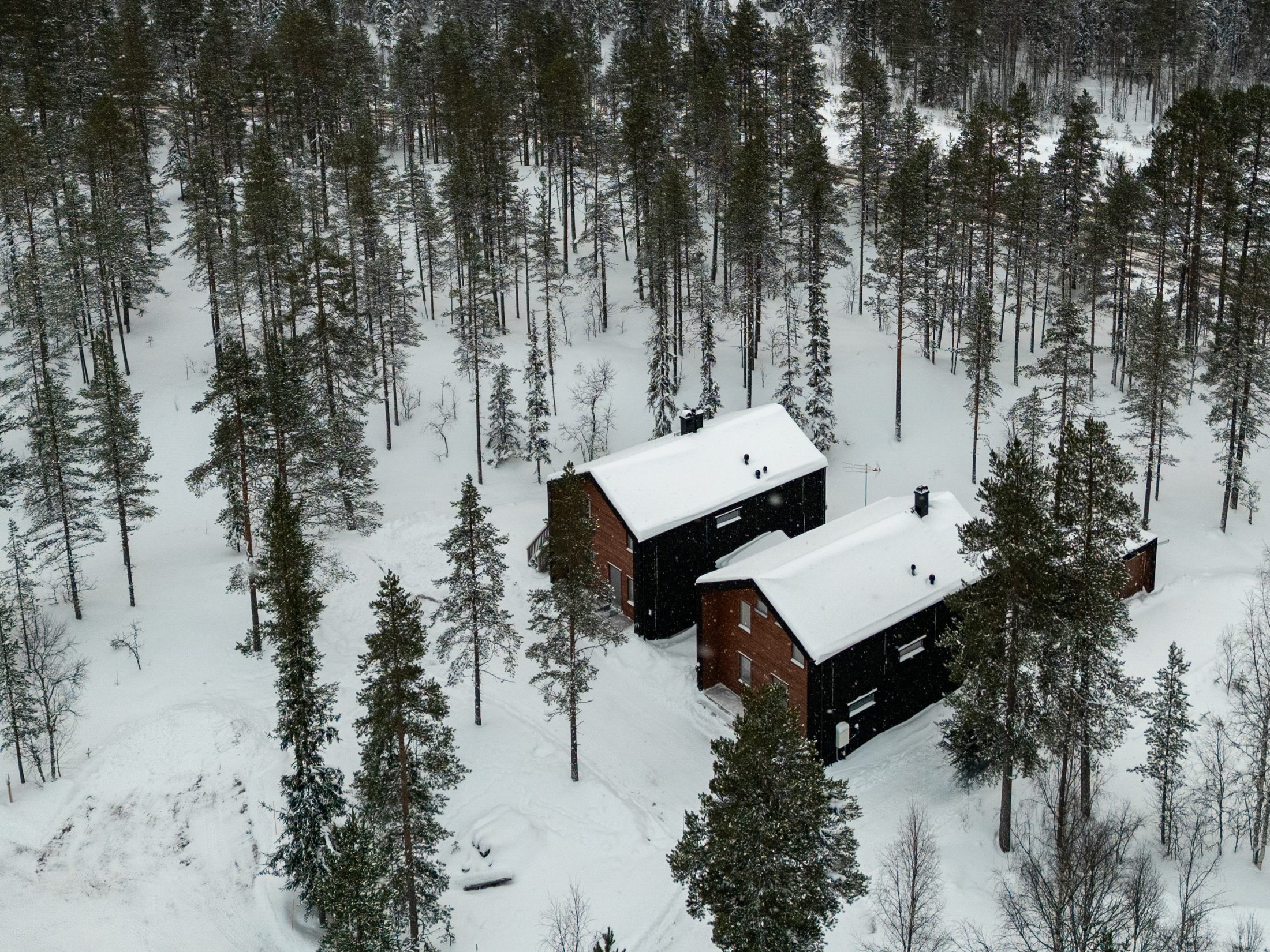 Fjällhus i snö